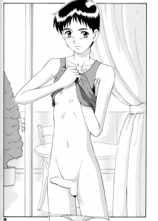 (C52) [Saigado (Ishoku Dougen)] Feel My Vibe (Neon Genesis Evangelion) - page 29