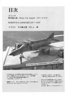 (C67) [Yomosue Doukoukai (Gesho Ichirou)] STRAY CAT ANGEL (Burst Angel | Bakuretsu Tenshi) - page 4