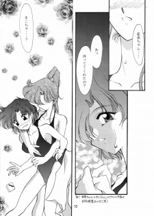 (C48) [Rose Water (Haruka Ayanokouji)] Rose Water 3 Rose Window (Bishoujo Senshi Sailor Moon) - page 11