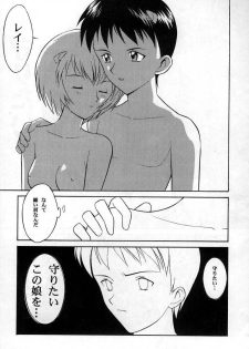 (C49) [Yagi to Sakana (Sachi Sakana, Yanagi Masashi)] REI THE 0-FILES (Neon Genesis Evangelion) - page 42