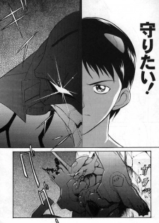 (C49) [Yagi to Sakana (Sachi Sakana, Yanagi Masashi)] REI THE 0-FILES (Neon Genesis Evangelion) - page 43