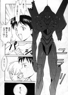 (C49) [Yagi to Sakana (Sachi Sakana, Yanagi Masashi)] REI THE 0-FILES (Neon Genesis Evangelion) - page 44