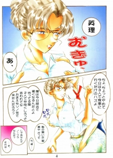 (C64) [Studio Boxer (Shima Takashi, Taka)] HOHETO 27 (Detective Conan) - page 3