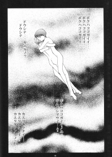 (C54) [Chimatsuriya Honpo (Asanagi Aoi)] EVANGELIUM AETERNITATIS Eien no Fukuinsho ii (Neon Genesis Evangelion) - page 44
