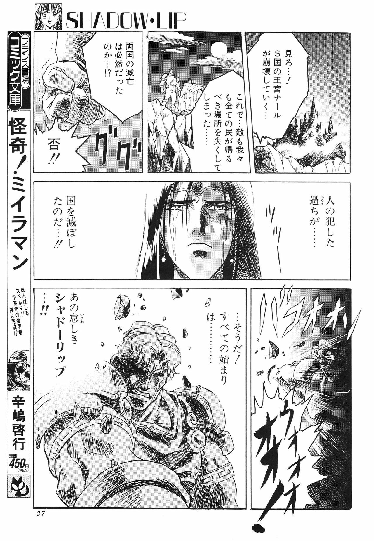 (C51) [Henrei-kai (Kawarajima Koh)] Stratum 500 (Various) page 28 full