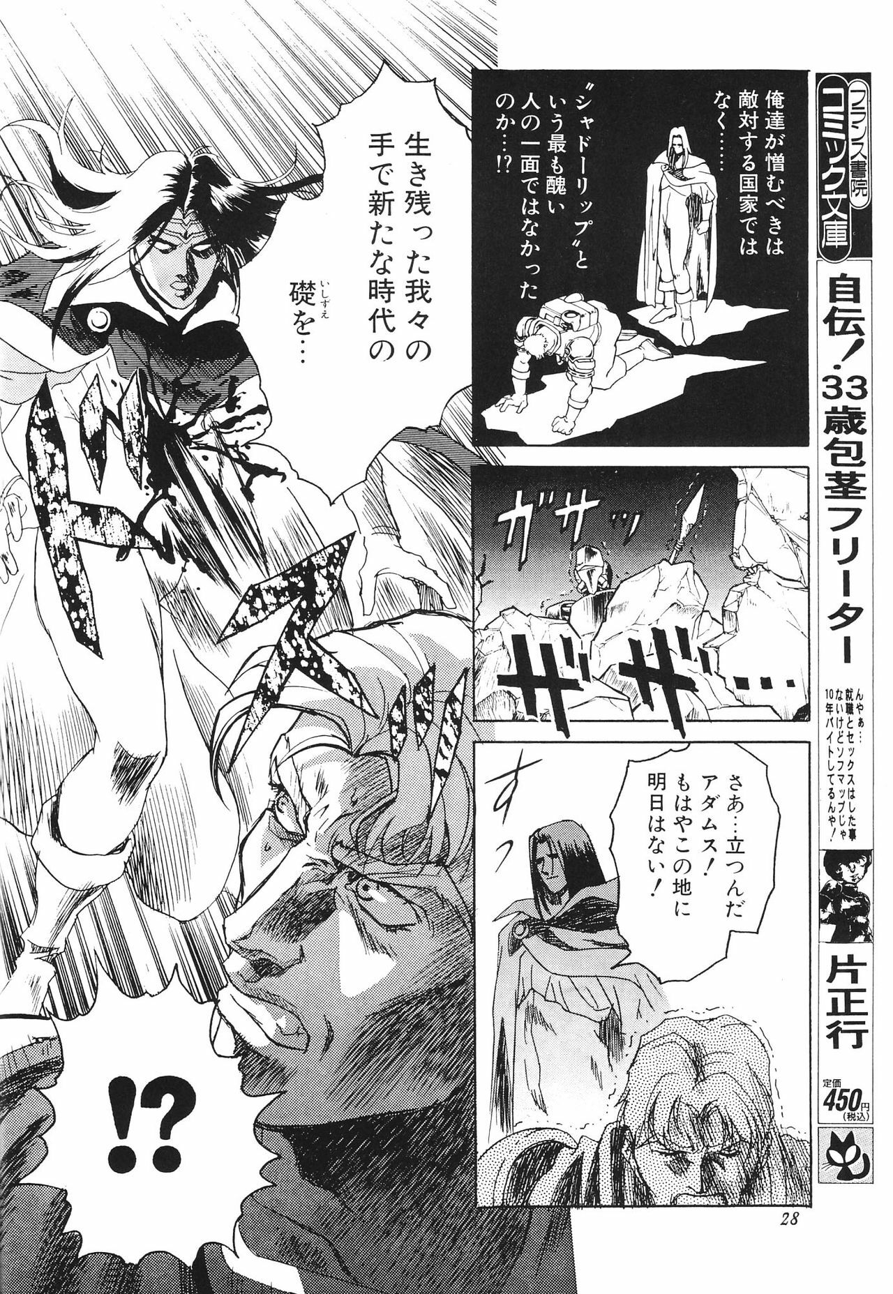 (C51) [Henrei-kai (Kawarajima Koh)] Stratum 500 (Various) page 29 full