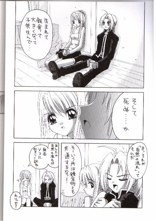 (SC23) [Yukimi Honpo (Asano Yukino)] Important (Fullmetal Alchemist) page 5 full