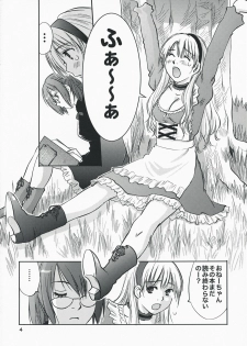 (C74) [RACK&PINION (Iogi Juichi)] Fushigi no Kuni no Alice (Alice in Wonderland) - page 3