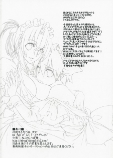 (C74) [IJI (Minagi Ruiji)] Kimi ga Maid de Maid ga Boku de (Hayate no Gotoku!) - page 18