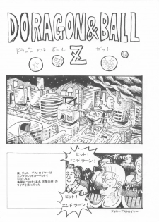 (C74) [Motsu Ryouri (Motsu)] Touko II (Dragon Quest III) - page 21