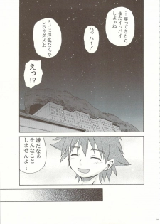 (C74) [Koudansha (Tomohiro Kouda)] Anemono Hitomatome Plus Soushuuhen 3 (Zoids Genesis, Busou Renkin, Princess Resurrection) - page 32