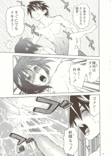 (C74) [Koudansha (Tomohiro Kouda)] Anemono Hitomatome Plus Soushuuhen 3 (Zoids Genesis, Busou Renkin, Princess Resurrection) - page 44