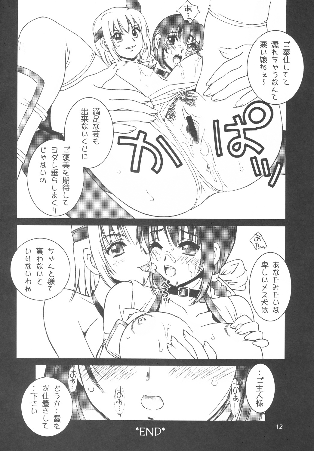 (C70) [Hanamaru Mugen Gym (Hyoujun Mai)] Sakura Chiru (Dead or Alive) page 11 full