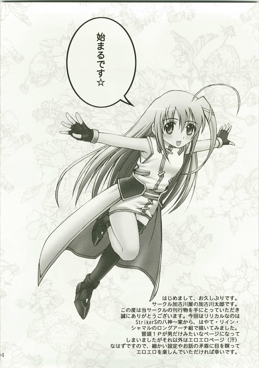 (C74) [Kakogawa-ya (Kakogawa Tarou)] Party Bullets (Mahou Shoujo Lyrical Nanoha) page 4 full