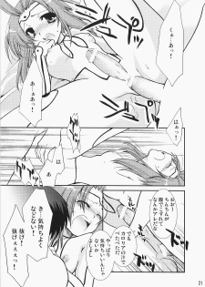 (C71) [CHAGASHI SAIBAN (Yamabuki Mook)] Super Supaiorora No Bikkuri Doki Doki Daisakusen (AliceSoft) - page 20