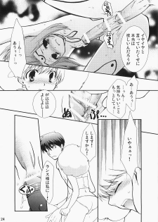 (C71) [CHAGASHI SAIBAN (Yamabuki Mook)] Super Supaiorora No Bikkuri Doki Doki Daisakusen (AliceSoft) - page 23