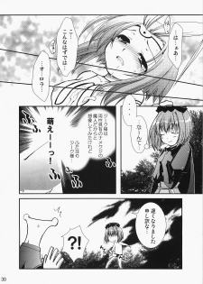 (C71) [CHAGASHI SAIBAN (Yamabuki Mook)] Super Supaiorora No Bikkuri Doki Doki Daisakusen (AliceSoft) - page 29