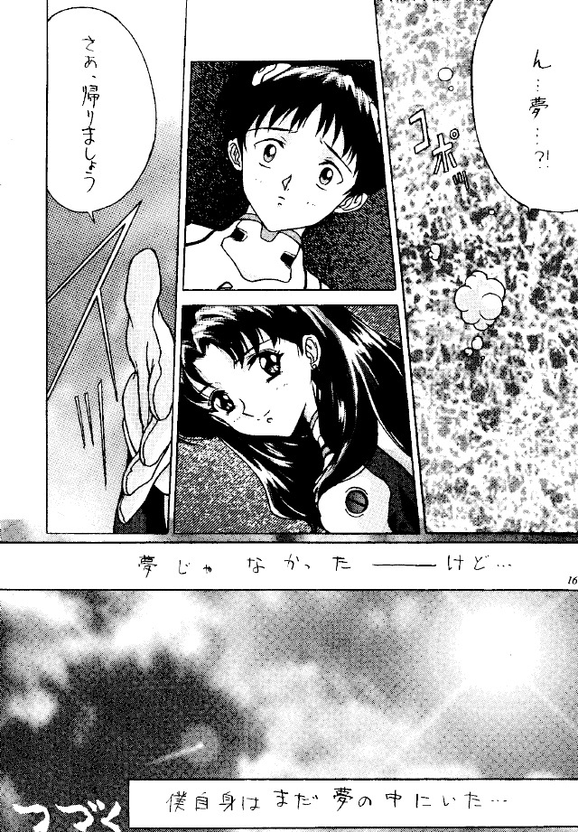 [Reds! (Various)] Foolish (Neon Genesis Evangelion) page 15 full