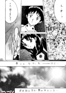 [Reds! (Various)] Foolish (Neon Genesis Evangelion) - page 15