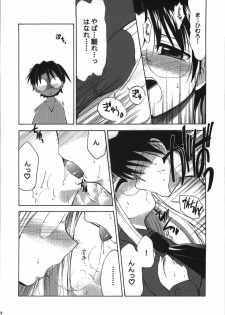 (C74) [YOKOSHIMAYA. (Yokoshima Takemaru)] Himuro Renai Jikenbo (Fate/hollow ataraxia) - page 24
