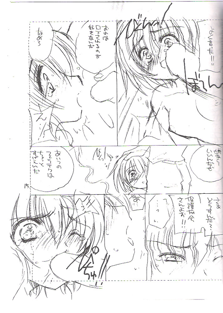 (C65) [Cafeteria Watermelon (Kosuge Yuutarou)] Moon Lighter (Elemental Gelade) page 13 full