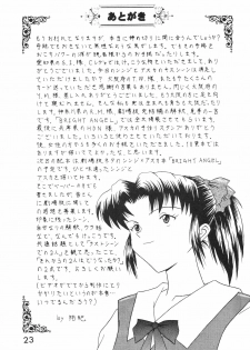 (C53) [System Speculation (Imai Youki)] TECHNICAL MAC 1 (Neon Genesis Evangelion) - page 22