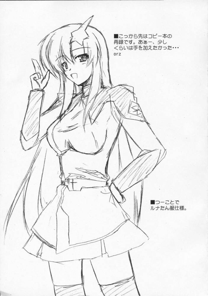 [Raiden Yashiki] Meer Special (Kidou Senshi Gundam SEED DESTINY / Mobile Suit Gundam SEED DESTINY page 14 full