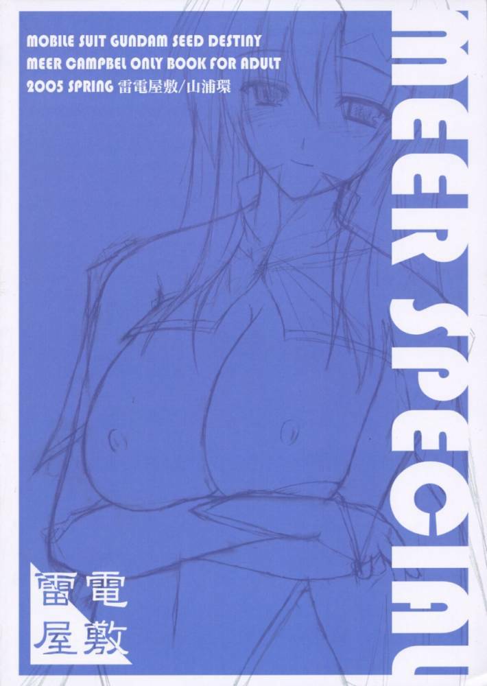 [Raiden Yashiki] Meer Special (Kidou Senshi Gundam SEED DESTINY / Mobile Suit Gundam SEED DESTINY page 22 full