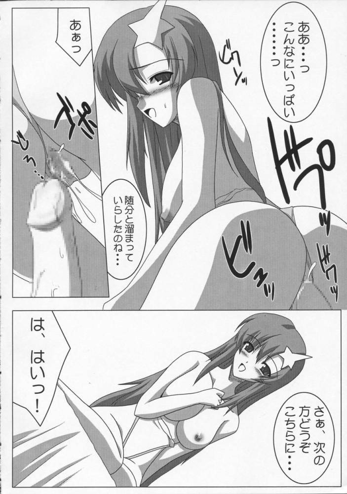 [Raiden Yashiki] Meer Special (Kidou Senshi Gundam SEED DESTINY / Mobile Suit Gundam SEED DESTINY page 5 full