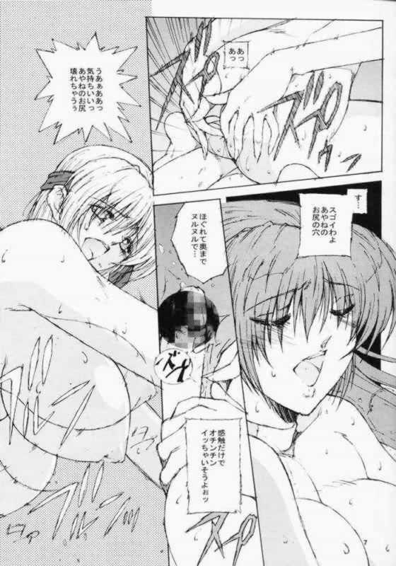 (C61) [Shibarism (Shibari Kana)] DA +PLUS (Dead or Alive) page 6 full