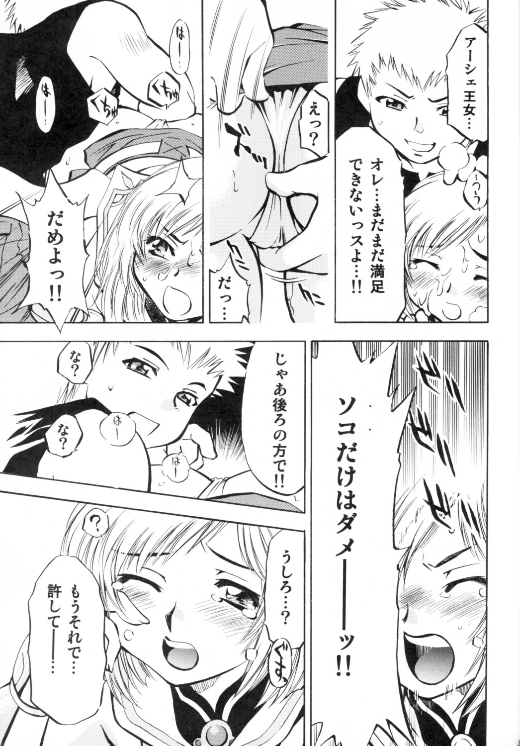 (C70) [Studio Wallaby (Nagisa Minami)] Ash no Ai (Final Fantasy XII) page 20 full