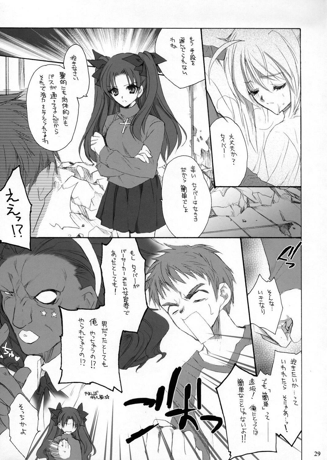 (C66) [Hanzai Tengoku (Hasei Agana)] ACCESS CODE PRIMARY (Fate/stay night) page 28 full