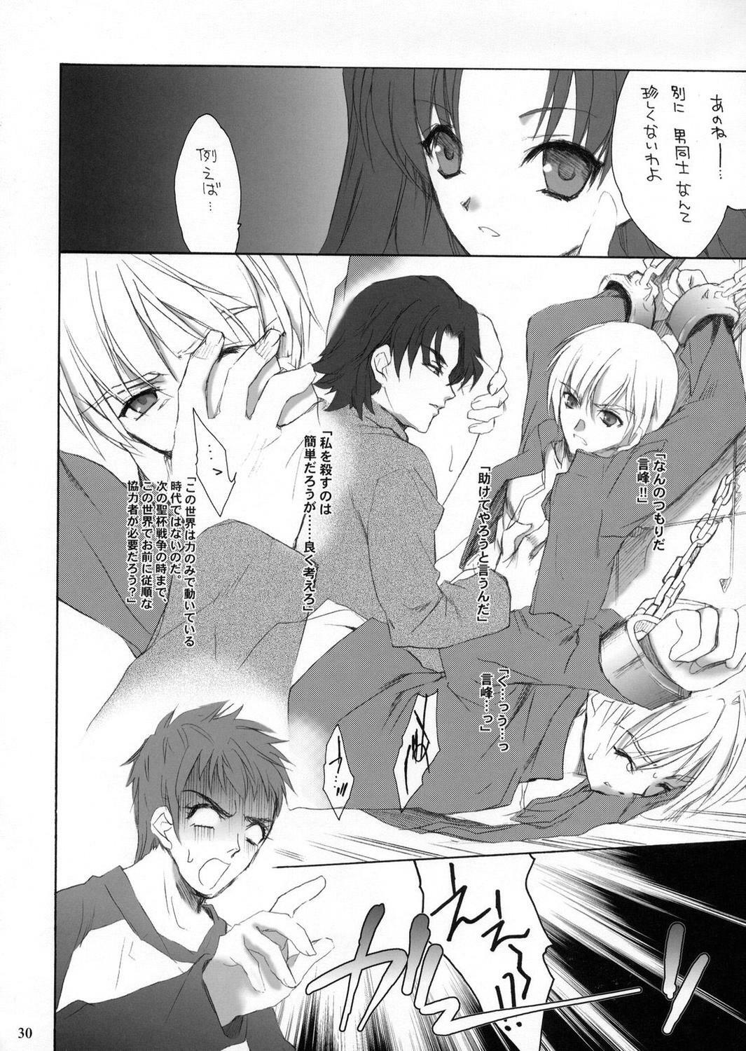 (C66) [Hanzai Tengoku (Hasei Agana)] ACCESS CODE PRIMARY (Fate/stay night) page 29 full