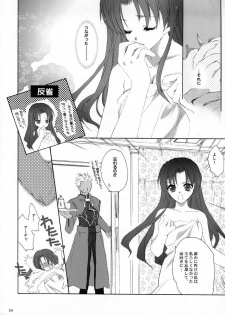 (C66) [Hanzai Tengoku (Hasei Agana)] ACCESS CODE PRIMARY (Fate/stay night) - page 23
