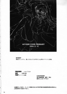 (C66) [Hanzai Tengoku (Hasei Agana)] ACCESS CODE PRIMARY (Fate/stay night) - page 33