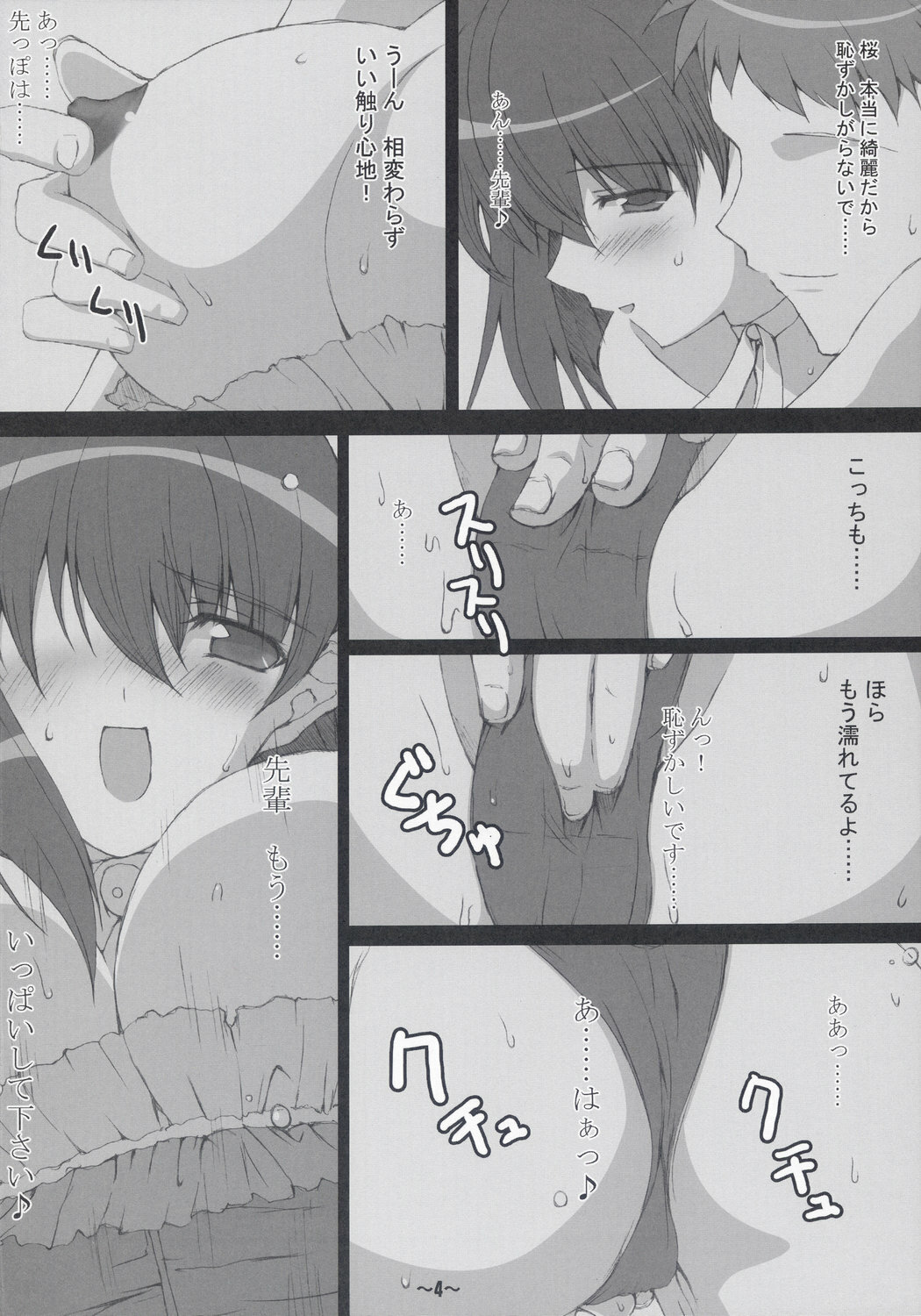 (C67) [Hard Flogs (Haoto Luna)] Hard Flogs vol.2 (Fate/stay night) page 5 full