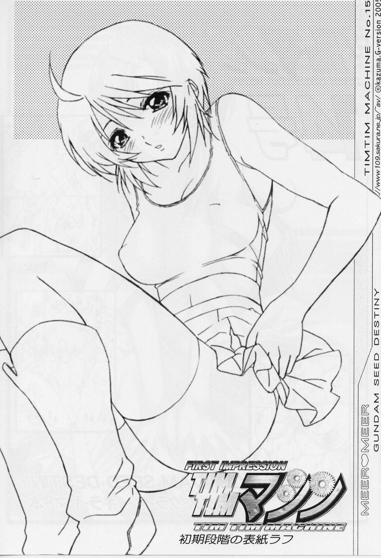 (C69) [TIMTIM Machine (Kazuma G-VERSION, Minazuki Ayu)] TIMTIM Machine 15-gou (Gundam SEED DESTINY) page 15 full