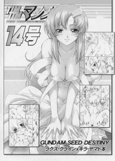 (C69) [TIMTIM Machine (Kazuma G-VERSION, Minazuki Ayu)] TIMTIM Machine 15-gou (Gundam SEED DESTINY) - page 14