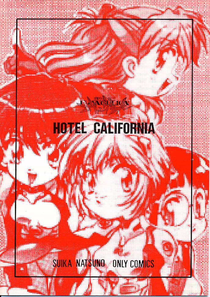 [Hotel California (Natsuno Suika)] Kareshi Kanojo No Jijou (Neon Genesis Evangelion) page 15 full