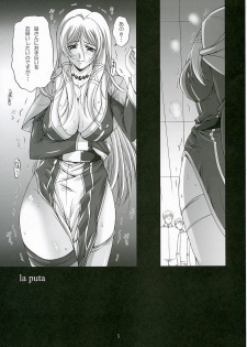(C69) [Gakuen Hanimokuo (Shinonome Maki)] La puta (Gun x Sword) - page 4