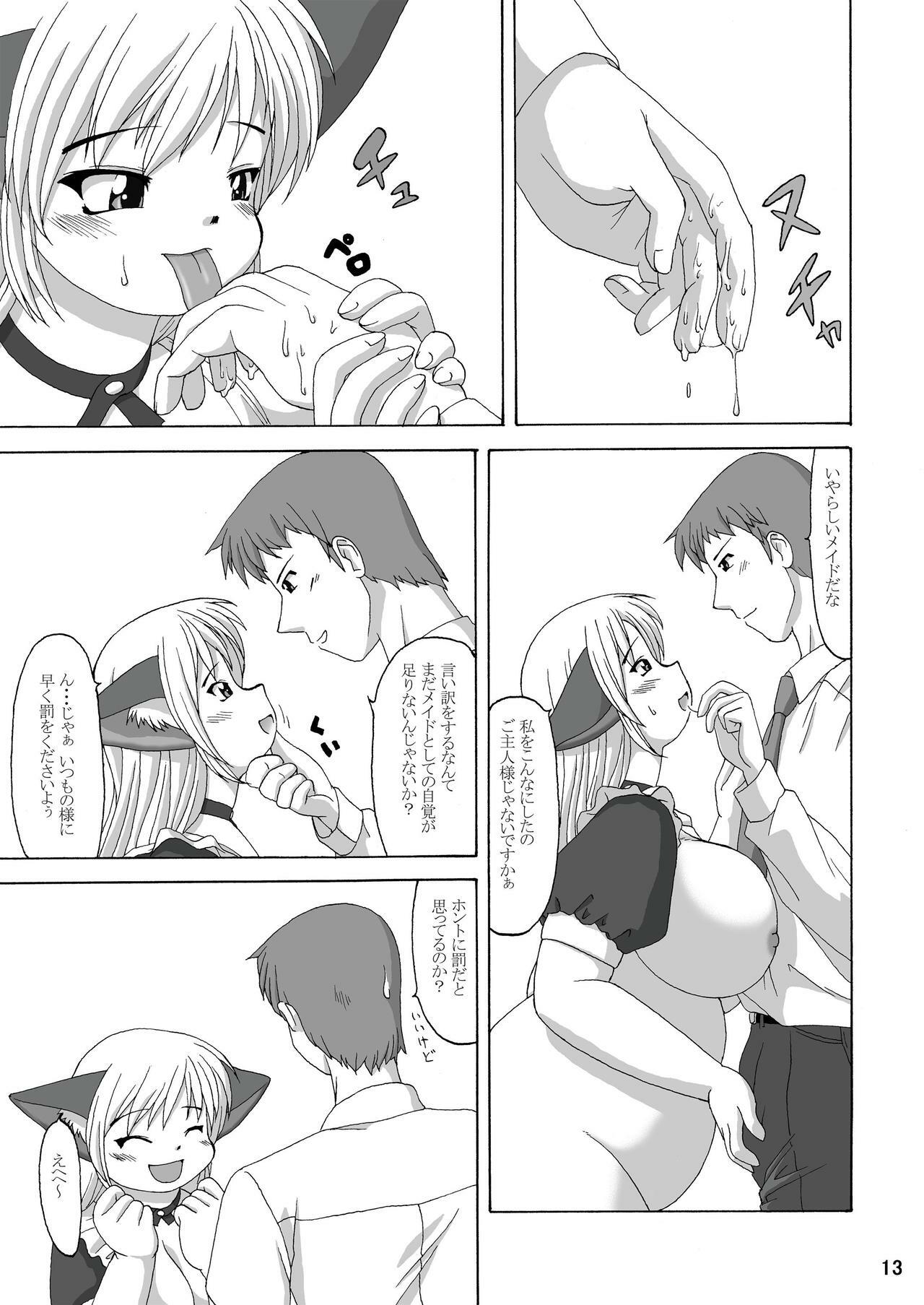 (C64) [Aa, Warera Katou Hayabusa Sentoutai (Katou)] MaruMaru page 13 full