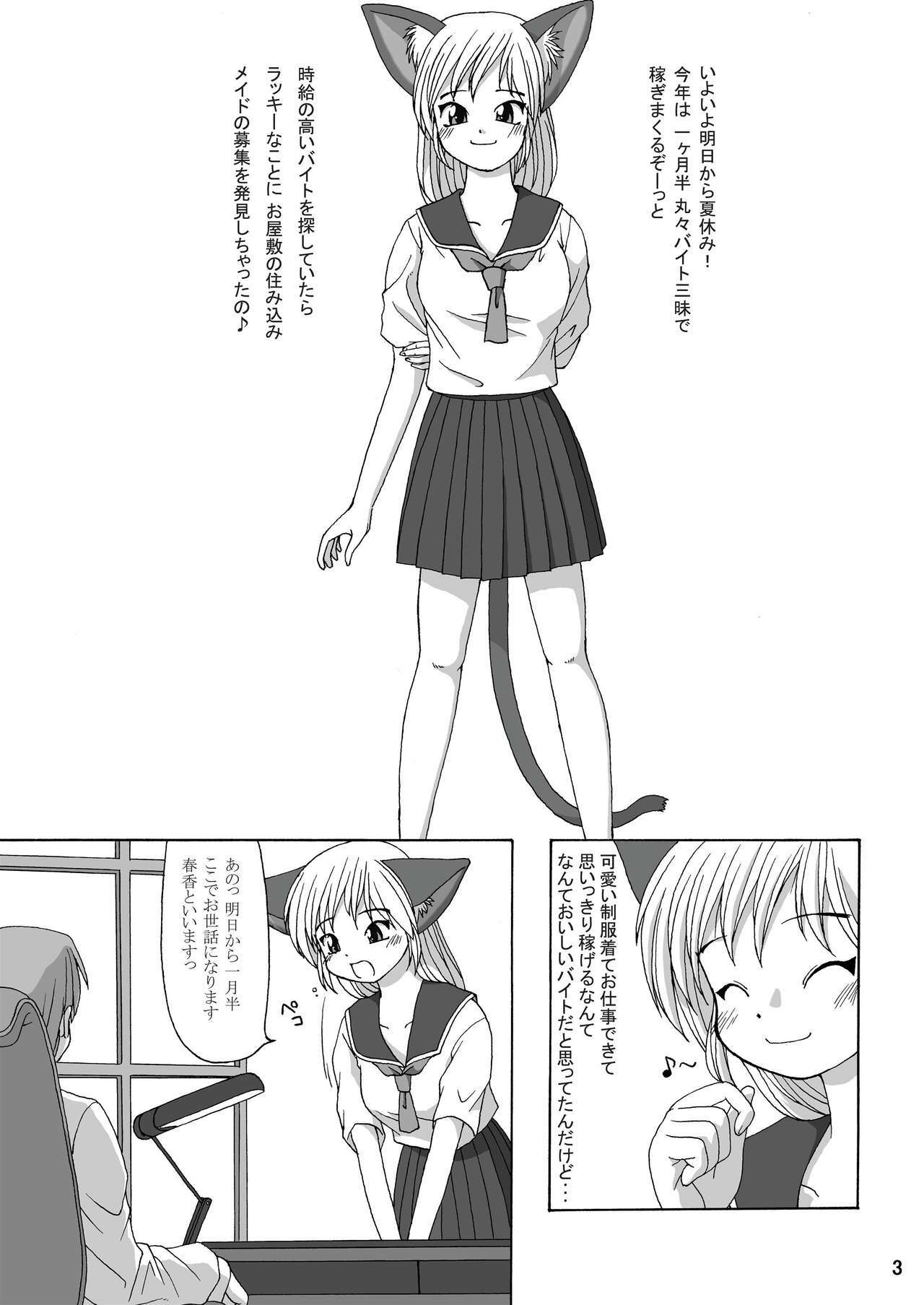 (C64) [Aa, Warera Katou Hayabusa Sentoutai (Katou)] MaruMaru page 3 full