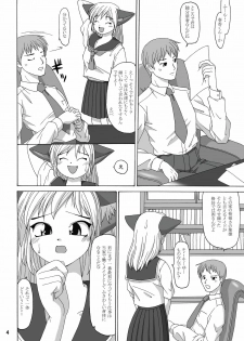 (C64) [Aa, Warera Katou Hayabusa Sentoutai (Katou)] MaruMaru - page 4