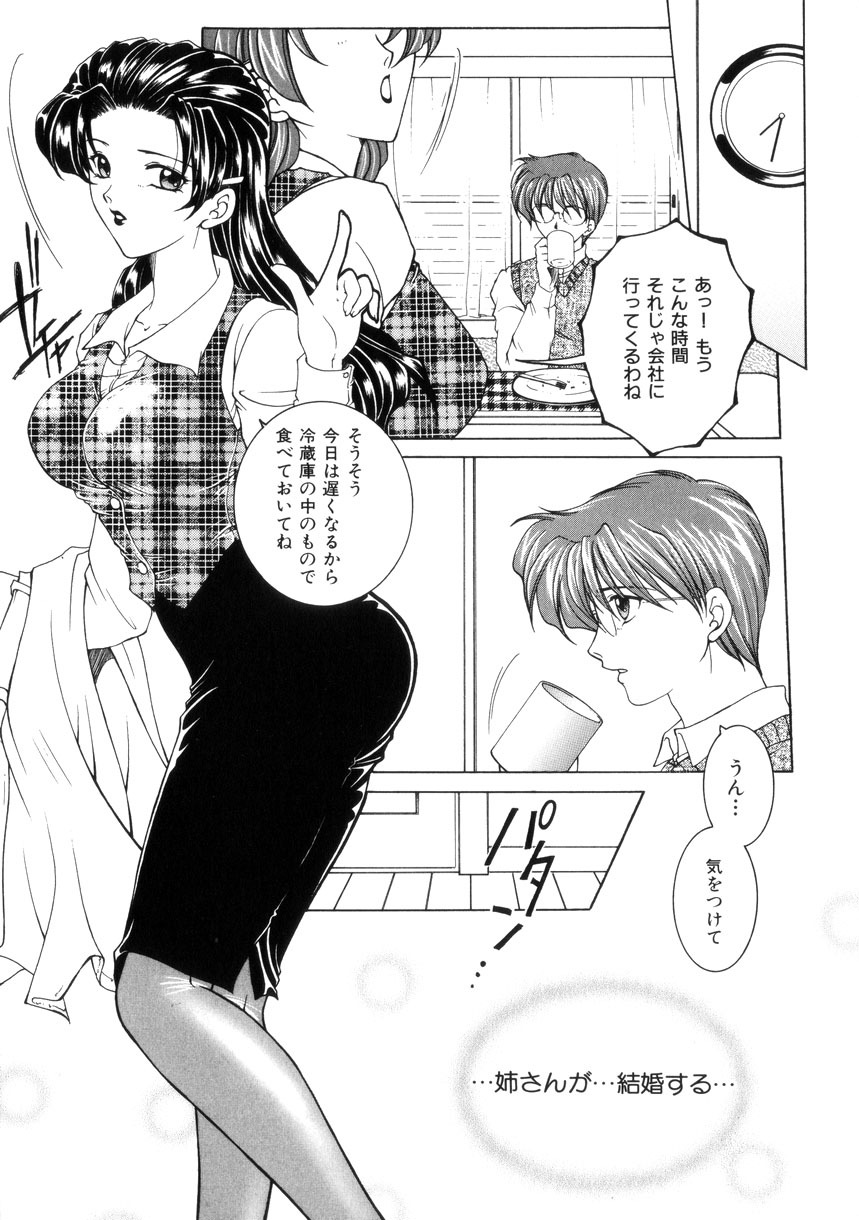 [Yasuhara Tsukasa] Junjou Karen - Purehearted and Vicious Love- page 10 full