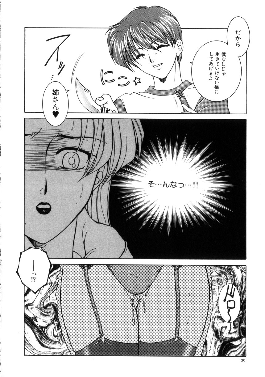 [Yasuhara Tsukasa] Junjou Karen - Purehearted and Vicious Love- page 30 full