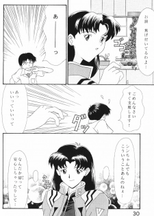 [System Speculation (Imai Youki)] PUSHY ANGEL (Neon Genesis Evangelion) - page 29