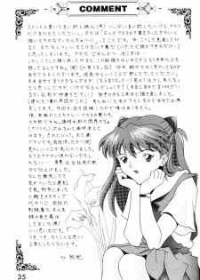 [System Speculation (Imai Youki)] PUSHY ANGEL (Neon Genesis Evangelion) - page 34
