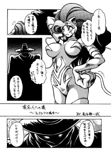 [Yuriai Kojinshi Kai (Yuri Ai)] Heats 2 (Darkstalkers) - page 2