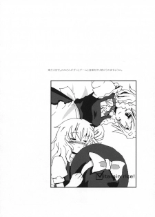(C72) [Vitamin Gohan (Hasegawa Keita)] Motto! Gohan o Tabete ii Hi (Touhou Project) - page 17