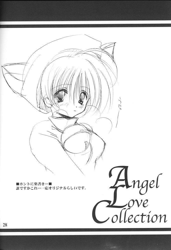 (C59) [A.L.C (Kannazuki Nem)] Angel Love Collection (Various) page 28 full